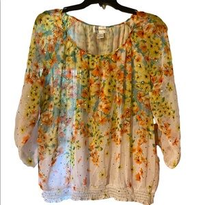 C. D. Daniels plus size 3x top, please read description